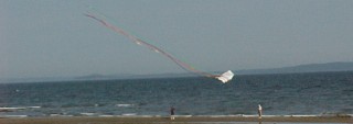 Colonial Gables - Kite Flying